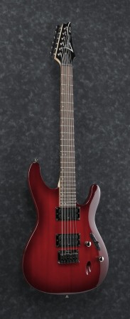Ibanez_S521-BBS-detale1.jpg