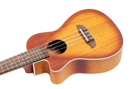 RUDAWN-CE-L detal.png