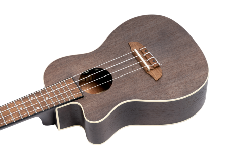 RUCOAL-CE-L detal.png