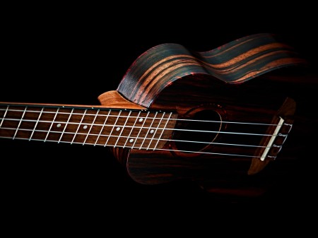 RUEB-CC-L Detail2.jpg