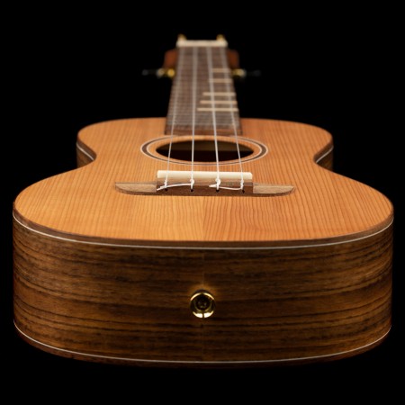 RUTI-CC-L Detail2.jpg