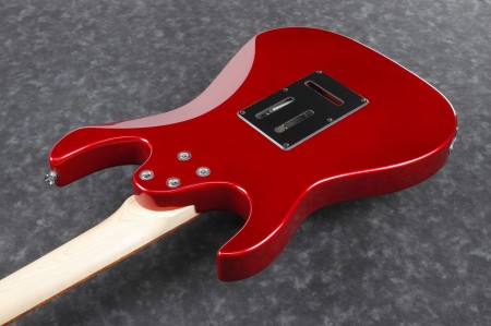 GRX40-ca body tyl.jpg