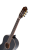 R221SNBK gryf.png