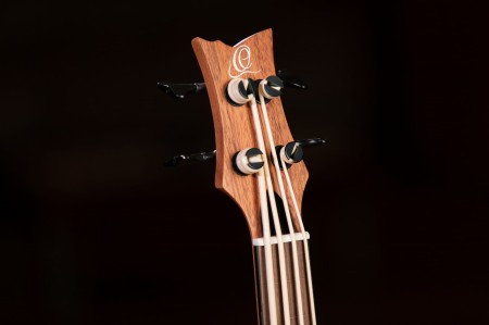 LIZZY-BSFL-GB głowa.jpg