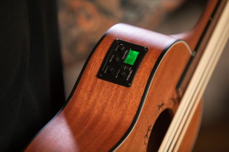 LIZZY-BSFL-GB tuner.jpg