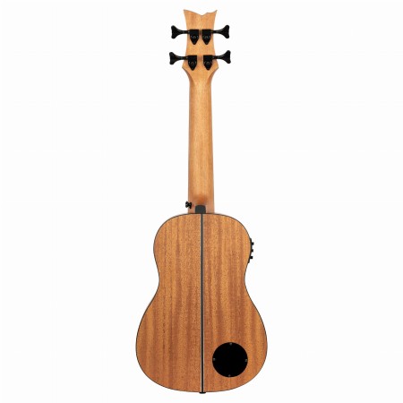 LIZZY-BSFL-GB tył 1.jpg