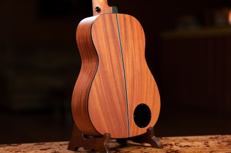 LIZZY-BSFL-GB tył.jpg