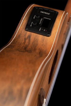LIZARD-CC-GB_tuner1.jpg