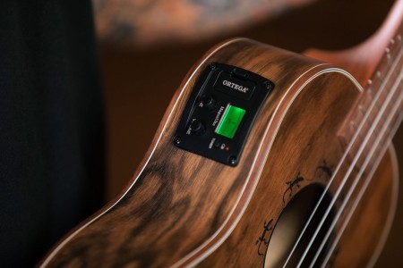 LIZARD-TE-GB_tuner.jpg