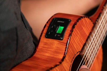 RGLE18FMH_tuner1.jpg