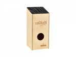 CAIXON VR-CAIX 