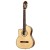 RCE141NT-L_gitara.jpg