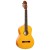 R170F_gitaraflamenco.jpg