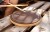 SB509_plener.jpg